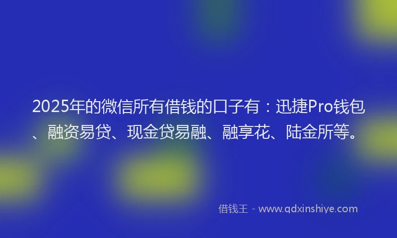 2025年的微信所有借钱的口子有：迅捷Pro钱包、融资易贷、现金贷易融、融享花、陆金所等。