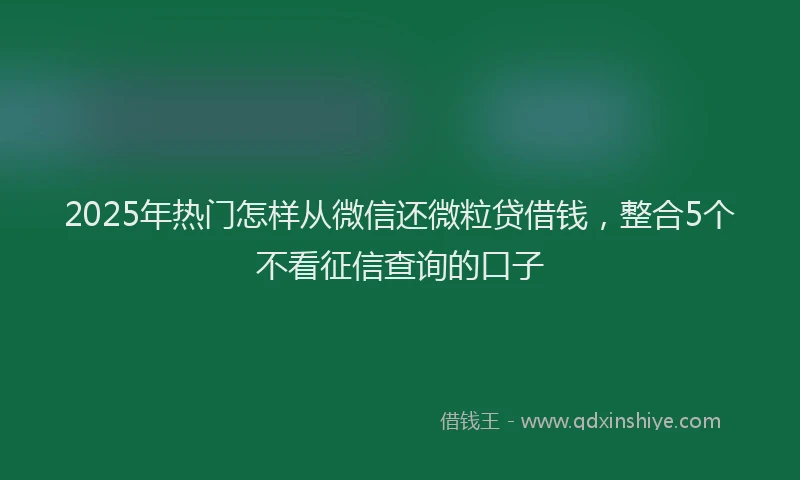 2025年热门怎样从微信还微粒贷借钱，整合5个不看征信查询的口子