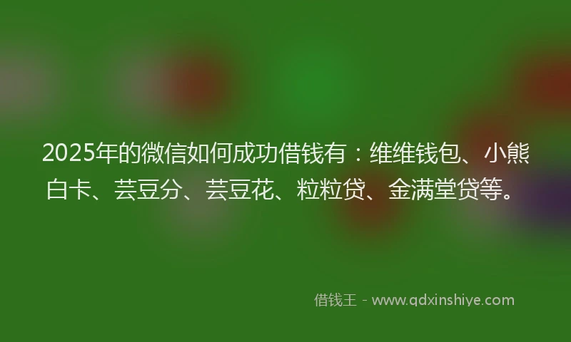 2025年的微信如何成功借钱有：维维钱包、小熊白卡、芸豆分、芸豆花、粒粒贷、金满堂贷等。