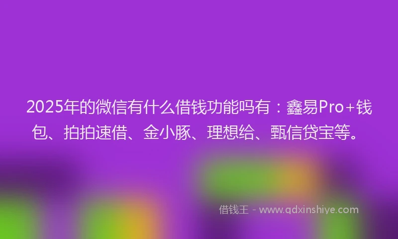 2025年的微信有什么借钱功能吗有：鑫易Pro+钱包、拍拍速借、金小豚、理想给、甄信贷宝等。