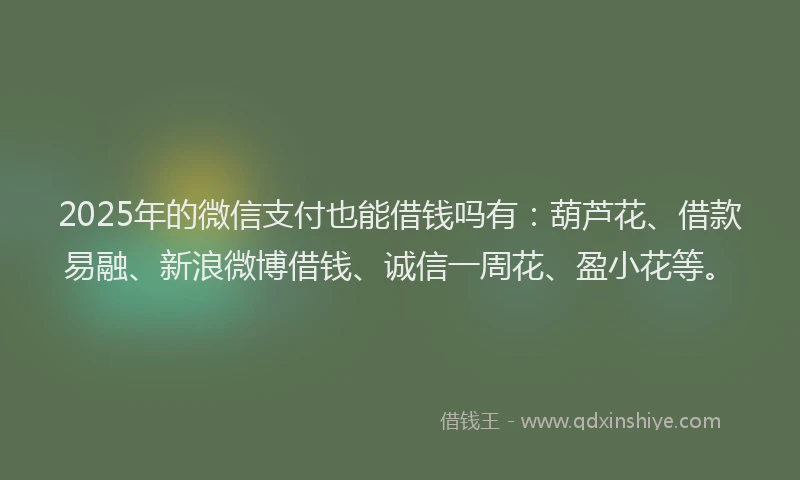 2025年的微信支付也能借钱吗有：葫芦花、借款易融、新浪微博借钱、诚信一周花、盈小花等。