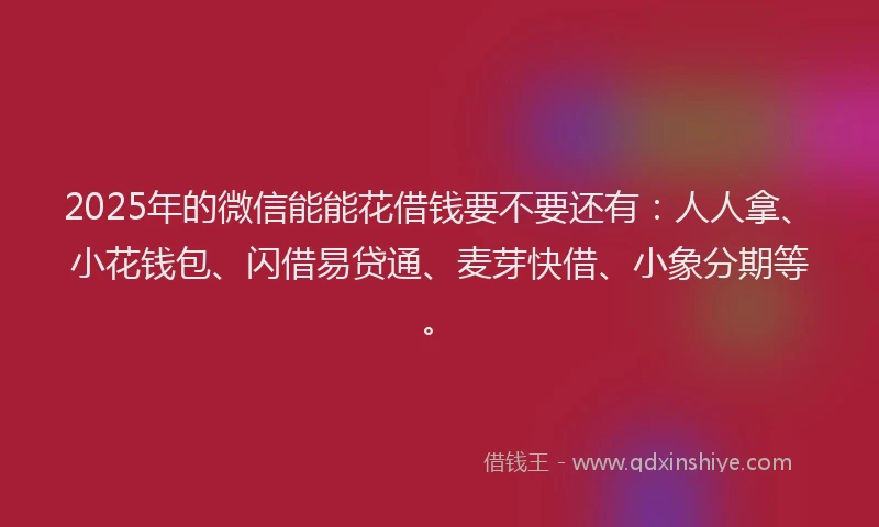 2025年的微信能能花借钱要不要还有：人人拿、小花钱包、闪借易贷通、麦芽快借、小象分期等。