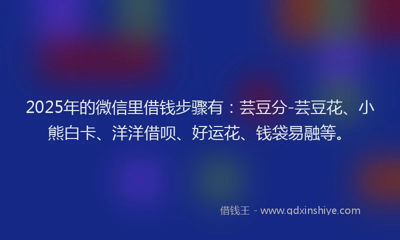 2025年的微信里借钱步骤有：芸豆分-芸豆花、小熊白卡、洋洋借呗、好运花、钱袋易融等。