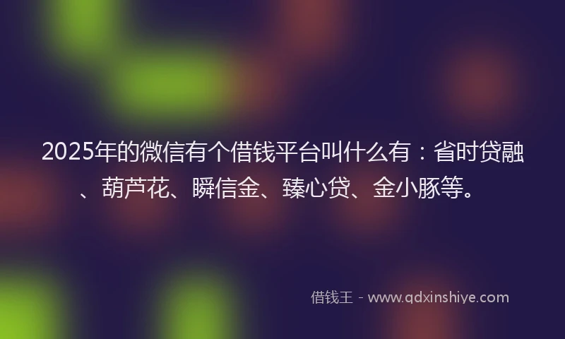 2025年的微信有个借钱平台叫什么有：省时贷融、葫芦花、瞬信金、臻心贷、金小豚等。