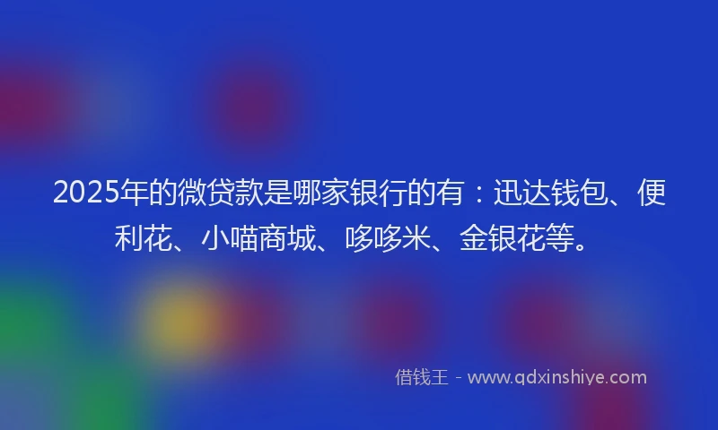 2025年的微贷款是哪家银行的有：迅达钱包、便利花、小喵商城、哆哆米、金银花等。