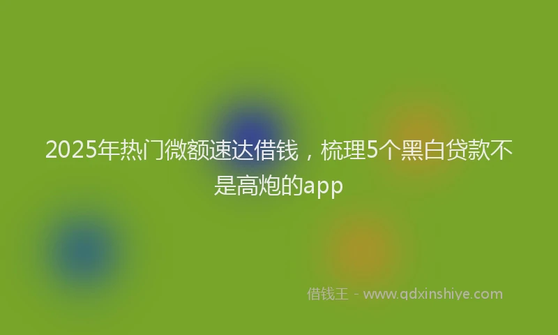 2025年热门微额速达借钱，梳理5个黑白贷款不是高炮的app
