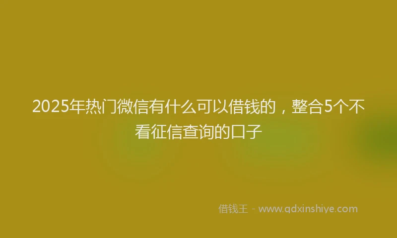 2025年热门微信有什么可以借钱的，整合5个不看征信查询的口子