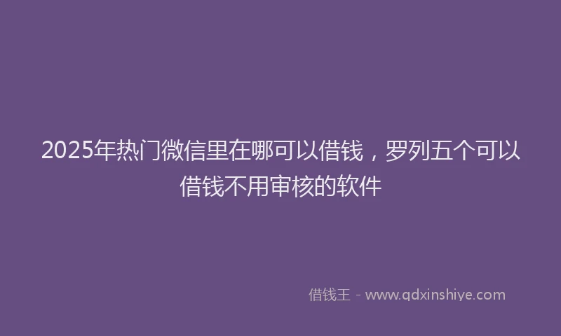 2025年热门微信里在哪可以借钱，罗列五个可以借钱不用审核的软件