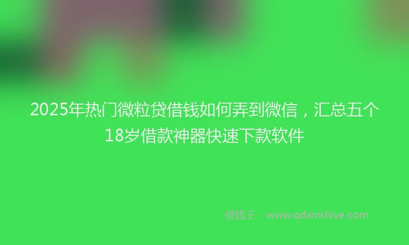2025年热门微粒贷借钱如何弄到微信，汇总五个18岁借款神器快速下款软件