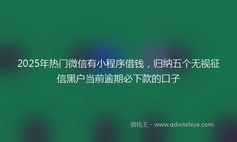 2025年热门微信有小程序借钱，归纳五个无视征信黑户当前逾期必下款的口子