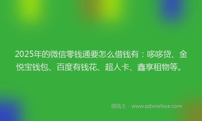 2025年的微信零钱通要怎么借钱有：哆哆贷、金悦宝钱包、百度有钱花、超人卡、鑫享租物等。