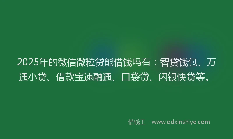 2025年的微信微粒贷能借钱吗有：智贷钱包、万通小贷、借款宝速融通、口袋贷、闪银快贷等。