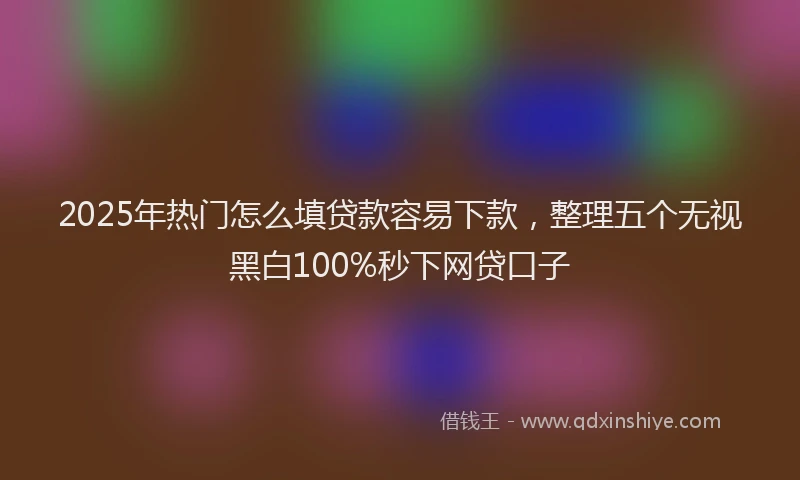 2025年热门怎么填贷款容易下款，整理五个无视黑白100%秒下网贷口子