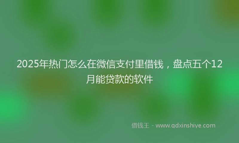 2025年热门怎么在微信支付里借钱,盘点五个12月能贷款的软件