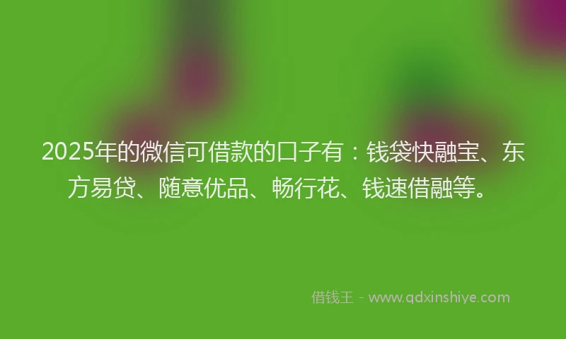 2025年的微信可借款的口子有：钱袋快融宝、东方易贷、随意优品、畅行花、钱速借融等。