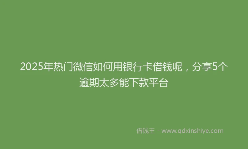 2025年热门微信如何用银行卡借钱呢，分享5个逾期太多能下款平台
