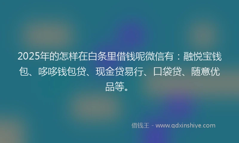 2025年的怎样在白条里借钱呢微信有：融悦宝钱包、哆哆钱包贷、现金贷易行、口袋贷、随意优品等。