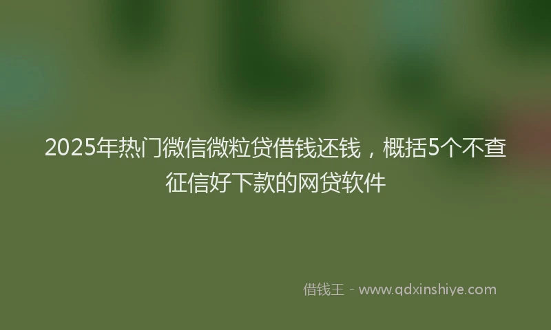 2025年热门微信微粒贷借钱还钱，概括5个不查征信好下款的网贷软件