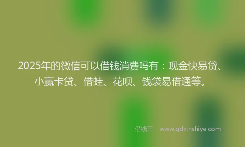2025年的微信可以借钱消费吗有：现金快易贷、小赢卡贷、借蛙、花呗、钱袋易借通等。