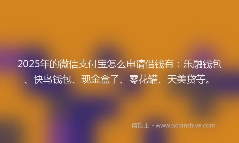 2025年的微信支付宝怎么申请借钱有：乐融钱包、快鸟钱包、现金盒子、零花罐、天美贷等。