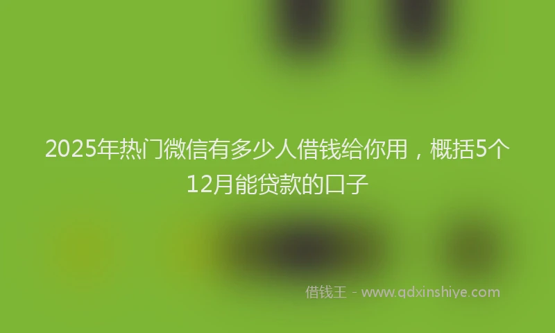 2025年热门微信有多少人借钱给你用，概括5个12月能贷款的口子