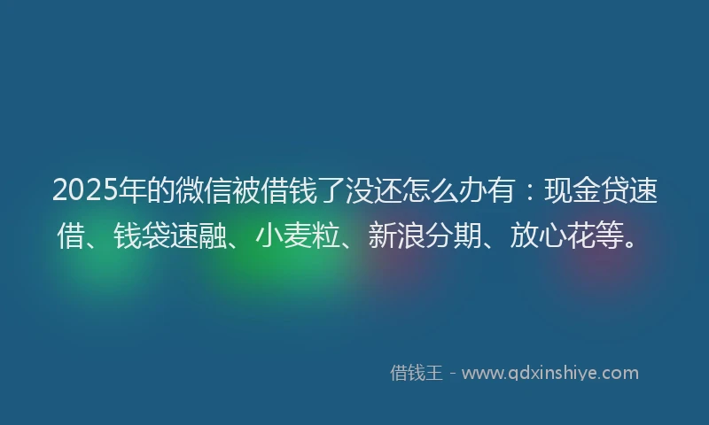 2025年的微信被借钱了没还怎么办有：现金贷速借、钱袋速融、小麦粒、新浪分期、放心花等。