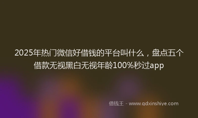 2025年热门微信好借钱的平台叫什么，盘点五个借款无视黑白无视年龄100%秒过app