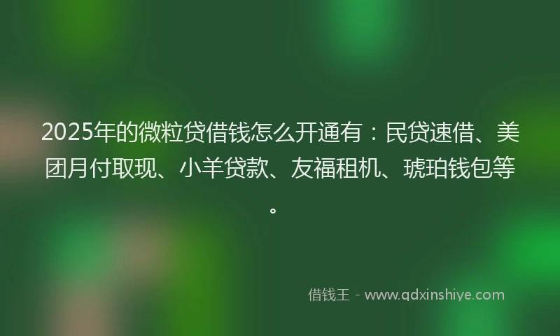 2025年的微粒贷借钱怎么开通有：民贷速借、美团月付取现、小羊贷款、友福租机、琥珀钱包等。