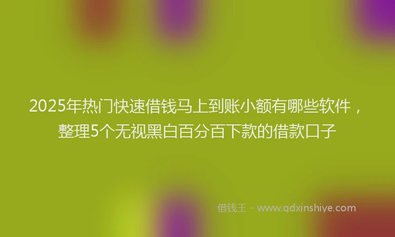 2025年热门快速借钱马上到账小额有哪些软件，整理5个无视黑白百分百下款的借款口子
