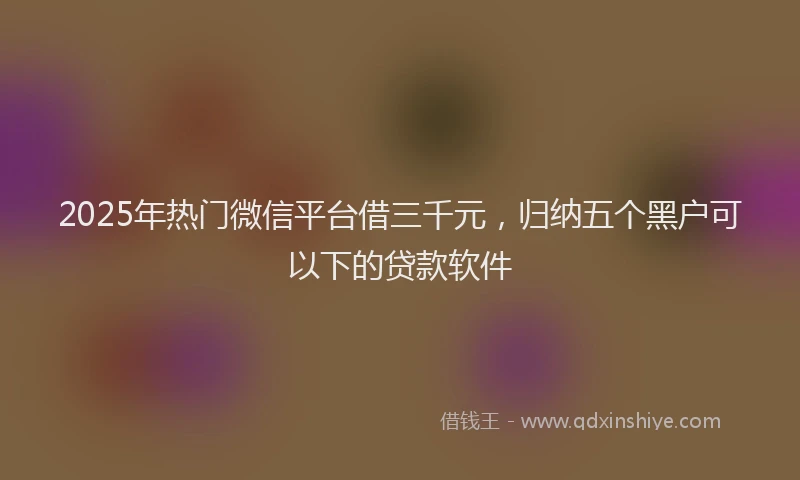 2025年热门微信平台借三千元，归纳五个黑户可以下的贷款软件