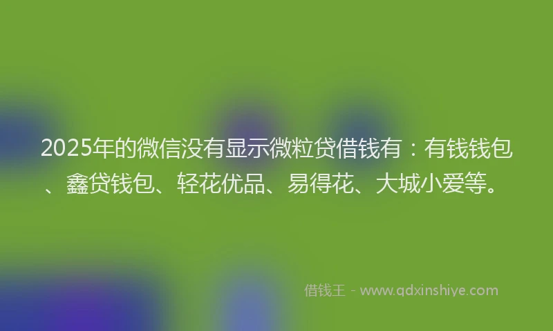 2025年的微信没有显示微粒贷借钱有：有钱钱包、鑫贷钱包、轻花优品、易得花、大城小爱等。