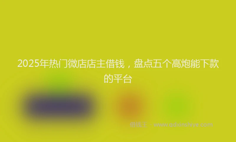 2025年热门微店店主借钱，盘点五个高炮能下款的平台