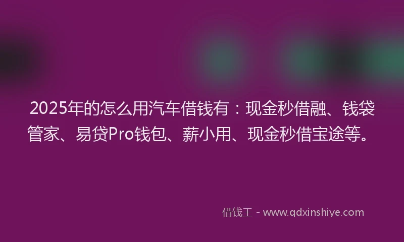 2025年的怎么用汽车借钱有：现金秒借融、钱袋管家、易贷Pro钱包、薪小用、现金秒借宝途等。