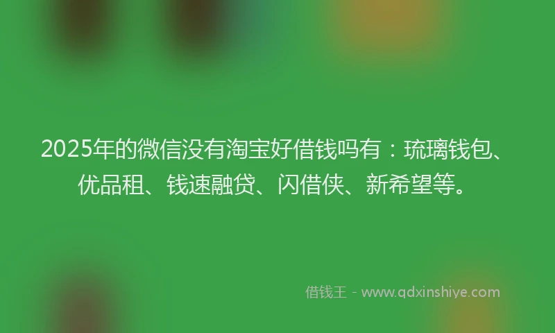 2025年的微信没有淘宝好借钱吗有：琉璃钱包、优品租、钱速融贷、闪借侠、新希望等。