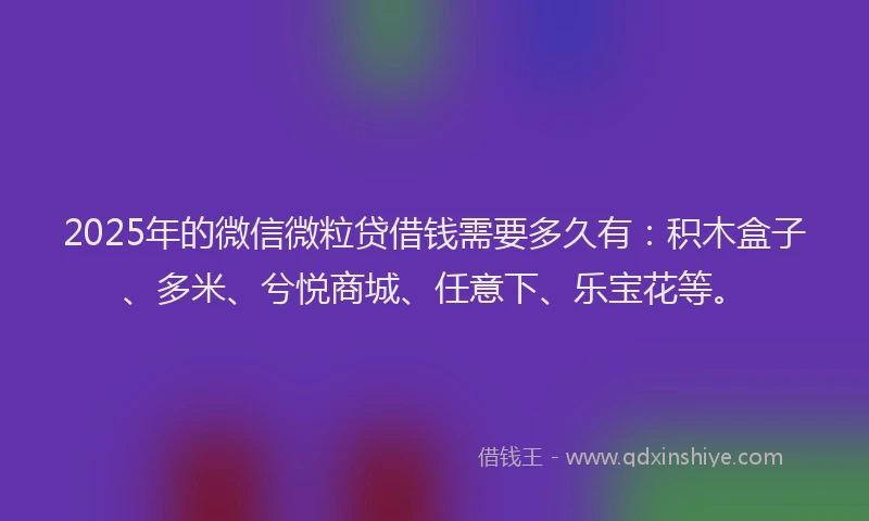 2025年的微信微粒贷借钱需要多久有：积木盒子、多米、兮悦商城、任意下、乐宝花等。