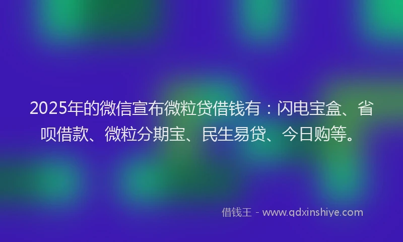 2025年的微信宣布微粒贷借钱有：闪电宝盒、省呗借款、微粒分期宝、民生易贷、今日购等。