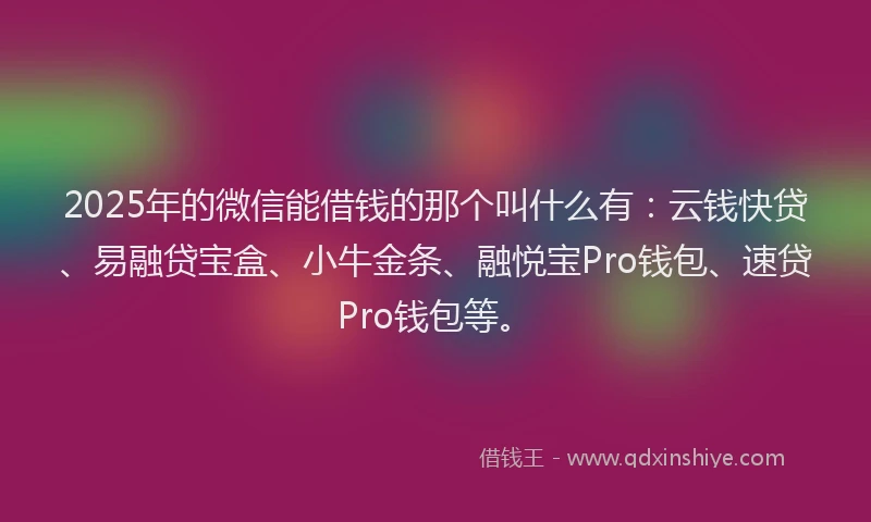 2025年的微信能借钱的那个叫什么有：云钱快贷、易融贷宝盒、小牛金条、融悦宝Pro钱包、速贷Pro钱包等。