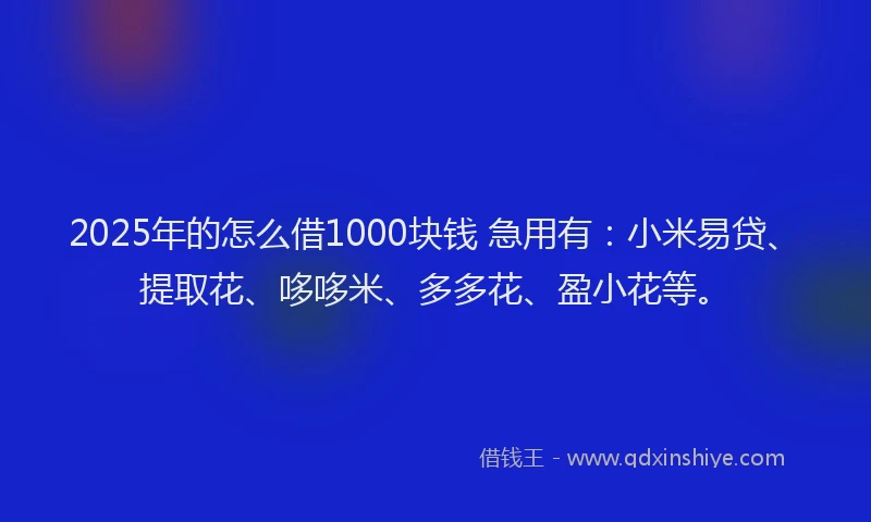 2025年的怎么借1000块钱 急用有：小米易贷、提取花、哆哆米、多多花、盈小花等。