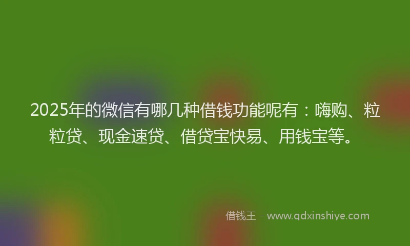 2025年的微信有哪几种借钱功能呢有：嗨购、粒粒贷、现金速贷、借贷宝快易、用钱宝等。