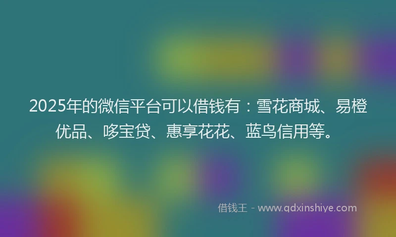 2025年的微信平台可以借钱有：雪花商城、易橙优品、哆宝贷、惠享花花、蓝鸟信用等。