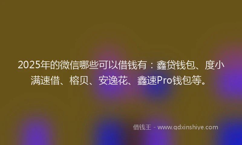 2025年的微信哪些可以借钱有：鑫贷钱包、度小满速借、榕贝、安逸花、鑫速Pro钱包等。