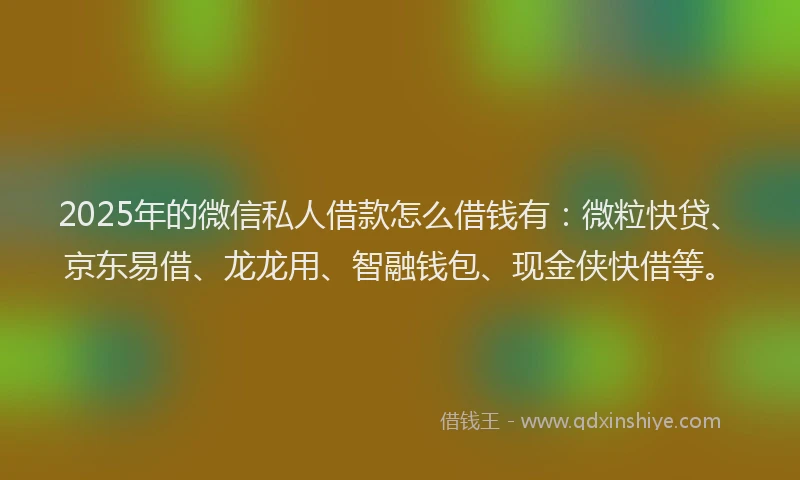 2025年的微信私人借款怎么借钱有：微粒快贷、京东易借、龙龙用、智融钱包、现金侠快借等。
