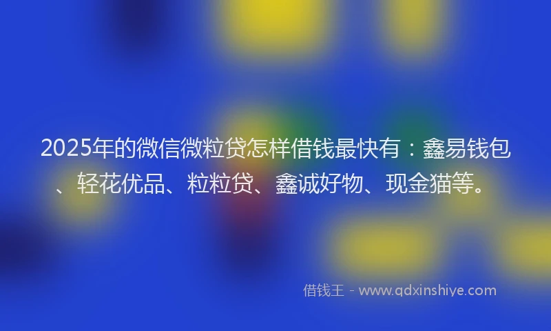 2025年的微信微粒贷怎样借钱最快有：鑫易钱包、轻花优品、粒粒贷、鑫诚好物、现金猫等。