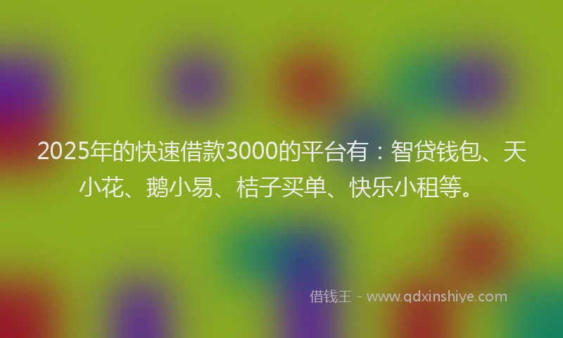 2025年的快速借款3000的平台有：智贷钱包、天小花、鹅小易、桔子买单、快乐小租等。