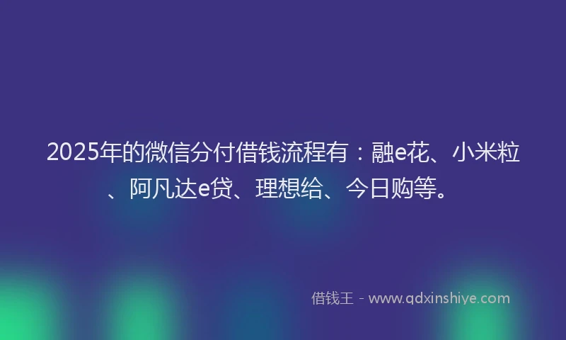 2025年的微信分付借钱流程有：融e花、小米粒、阿凡达e贷、理想给、今日购等。