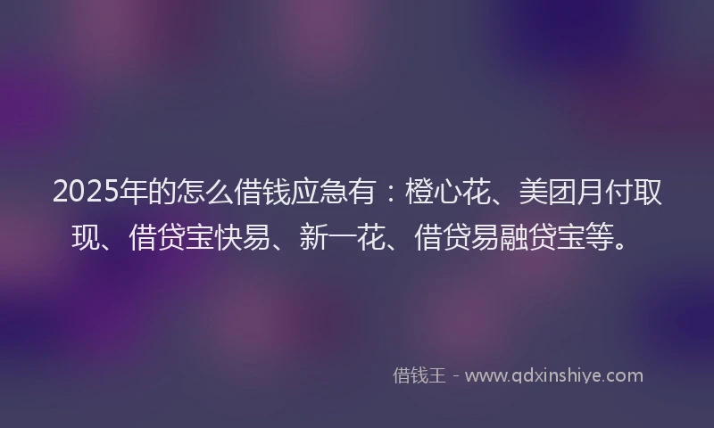 2025年的怎么借钱应急有:橙心花、美团月付取现、借贷宝快易、新一花、借贷易融贷宝等。