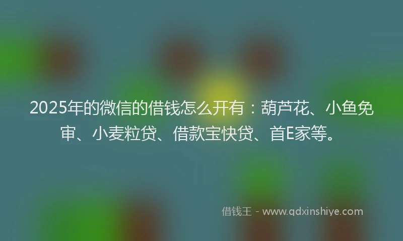 2025年的微信的借钱怎么开有:葫芦花、小鱼免审、小麦粒贷、借款宝快贷、首E家等。