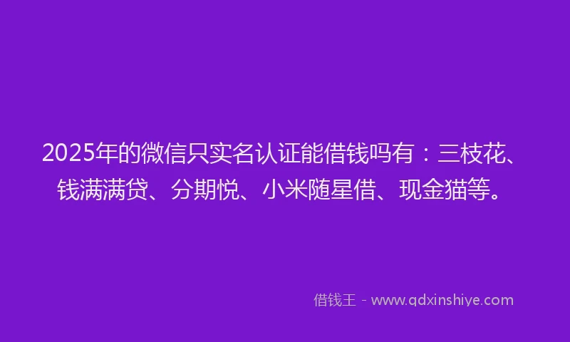 2025年的微信只实名认证能借钱吗有：三枝花、钱满满贷、分期悦、小米随星借、现金猫等。