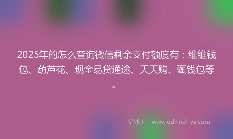 2025年的怎么查询微信剩余支付额度有:维维钱包、葫芦花、现金易贷通途、天天购、甄钱包等。
