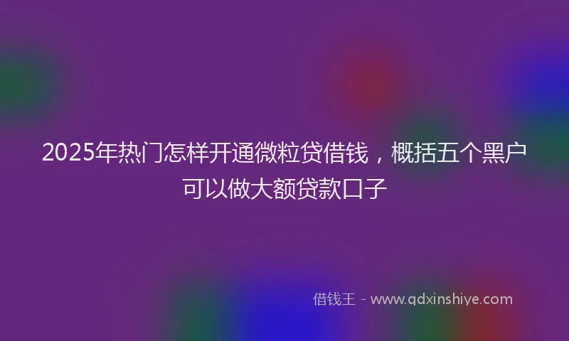 2025年热门怎样开通微粒贷借钱，概括五个黑户可以做大额贷款口子